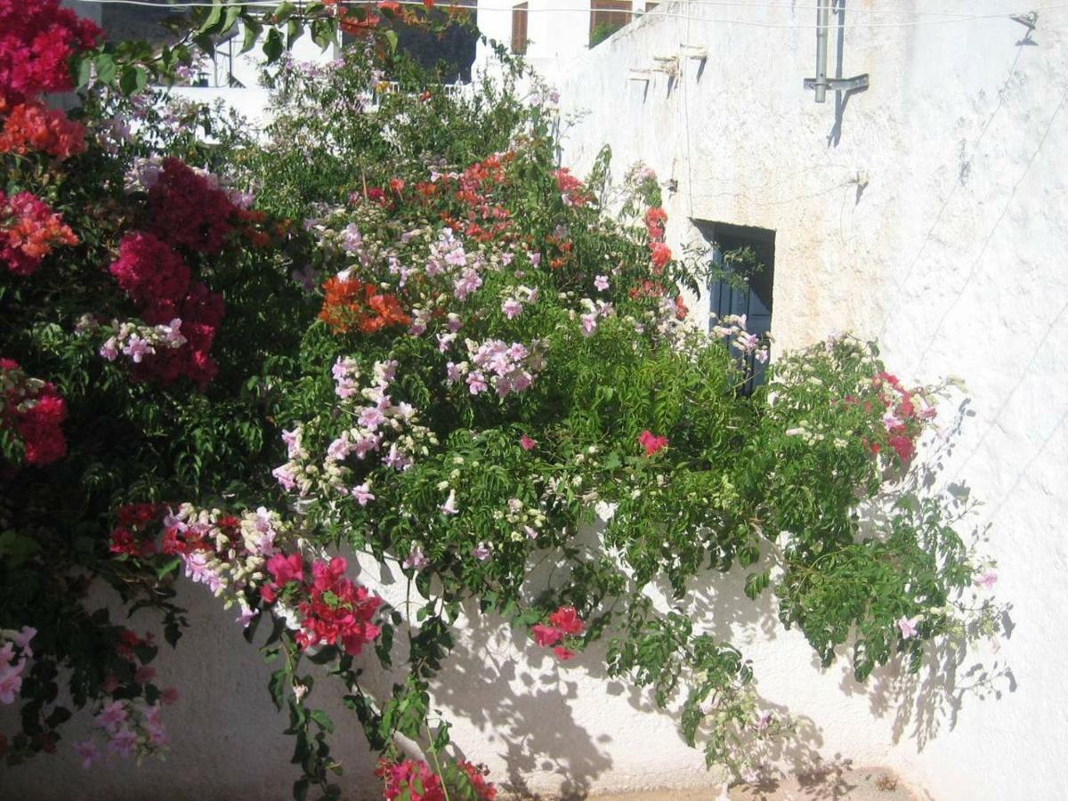 Casa De La Buganvilla رودالكيلار المظهر الخارجي الصورة
